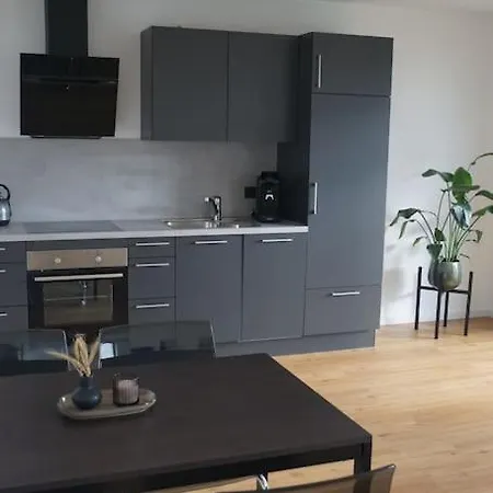 Abt Kleber Апартаменты Бад-Шуссенрид